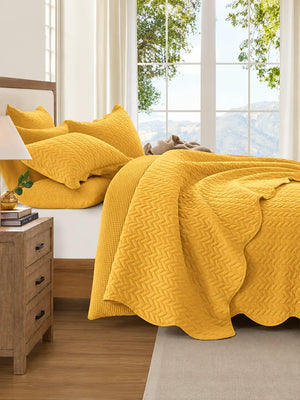 Lightweight Quilted Coverlet Bedspread Set